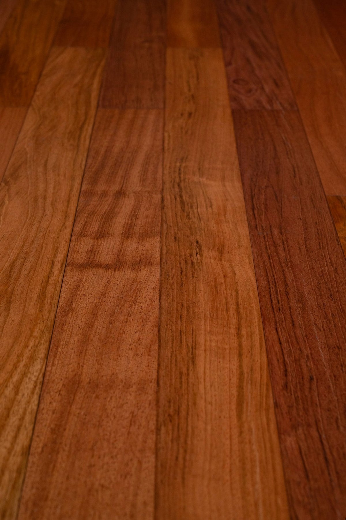 Brazilian Cherry (Jatoba)- Engineered- NEW