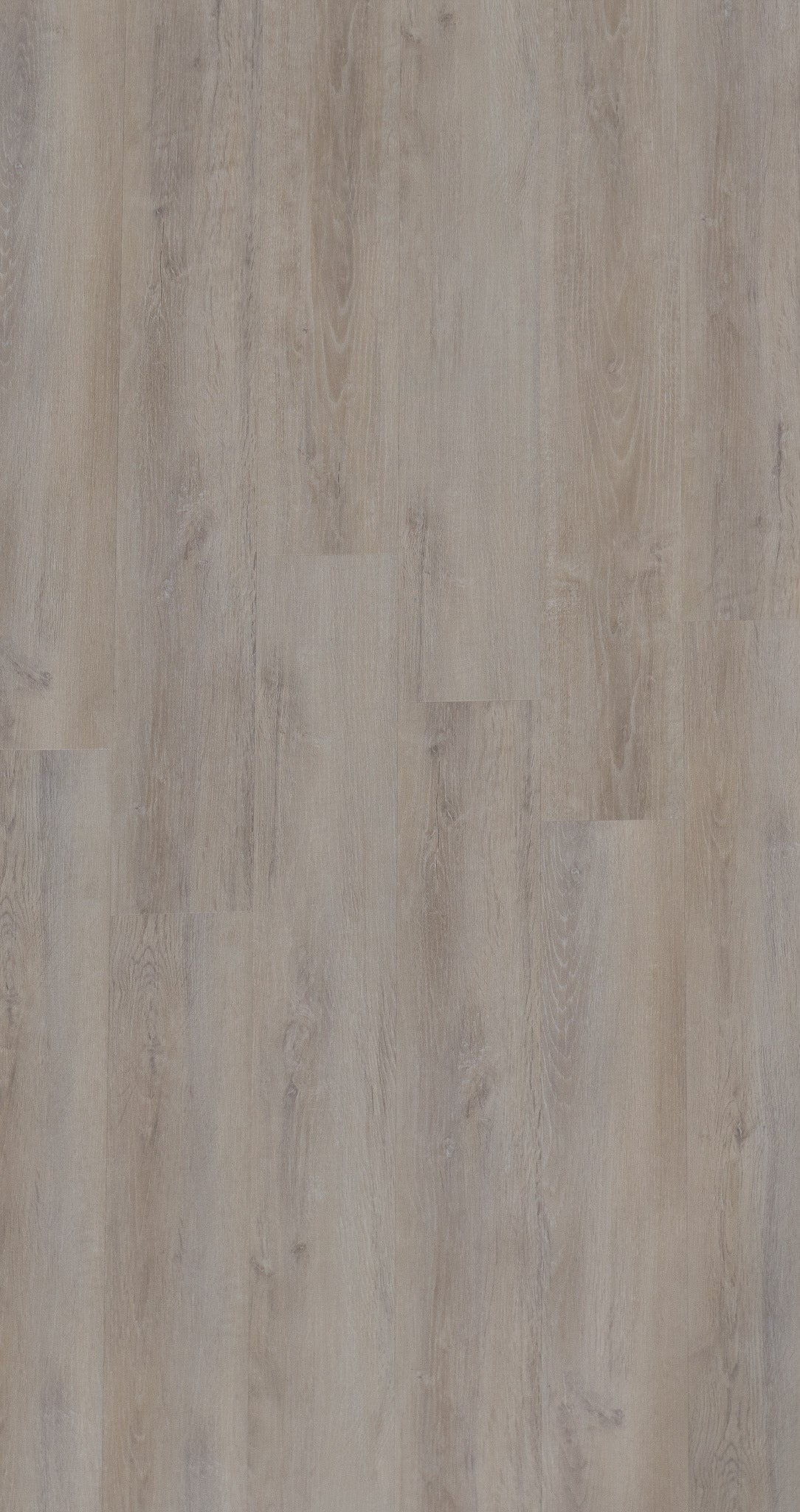 A picture showing the 6.5mm lvp flooring called Mumbai. It has a light grey-beige hue and silver chain embossing, giving the floor an ultra-realistic look.