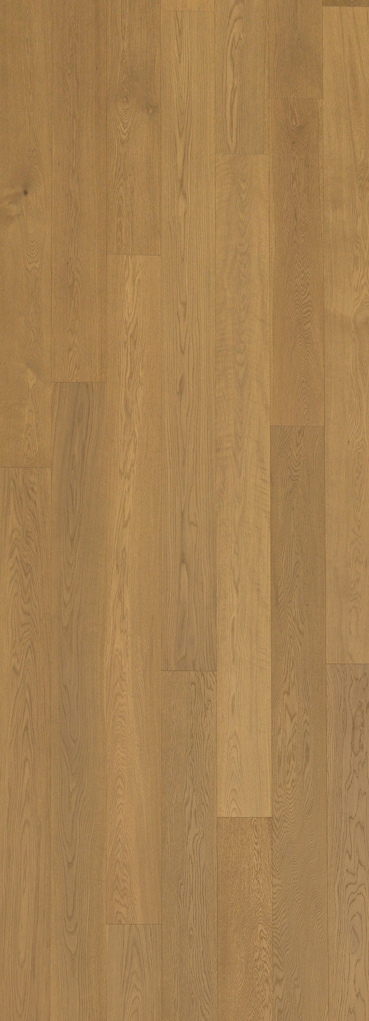 A picture of Naples hardwood from the Wildwood Nature collection. The hardwood is a light beige-caramel colour and there are little to no knots or minor variations in the hardwood, due to the high grade of wood.