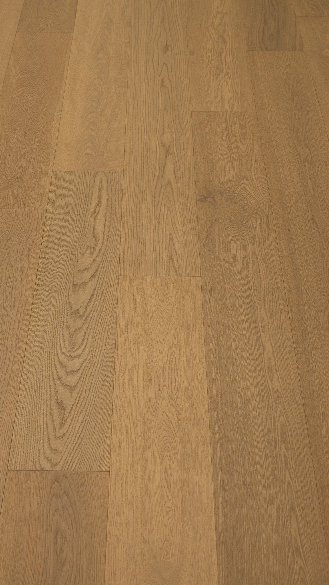 A picture of Naples hardwood from the Wildwood Nature collection. The hardwood is a light beige-caramel colour and there are little to no knots or minor variations in the hardwood, due to the high grade of wood.