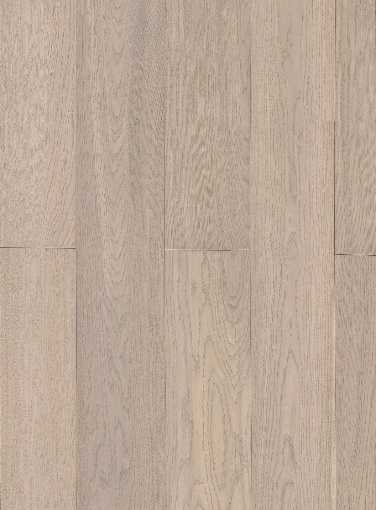Oak Collingwood