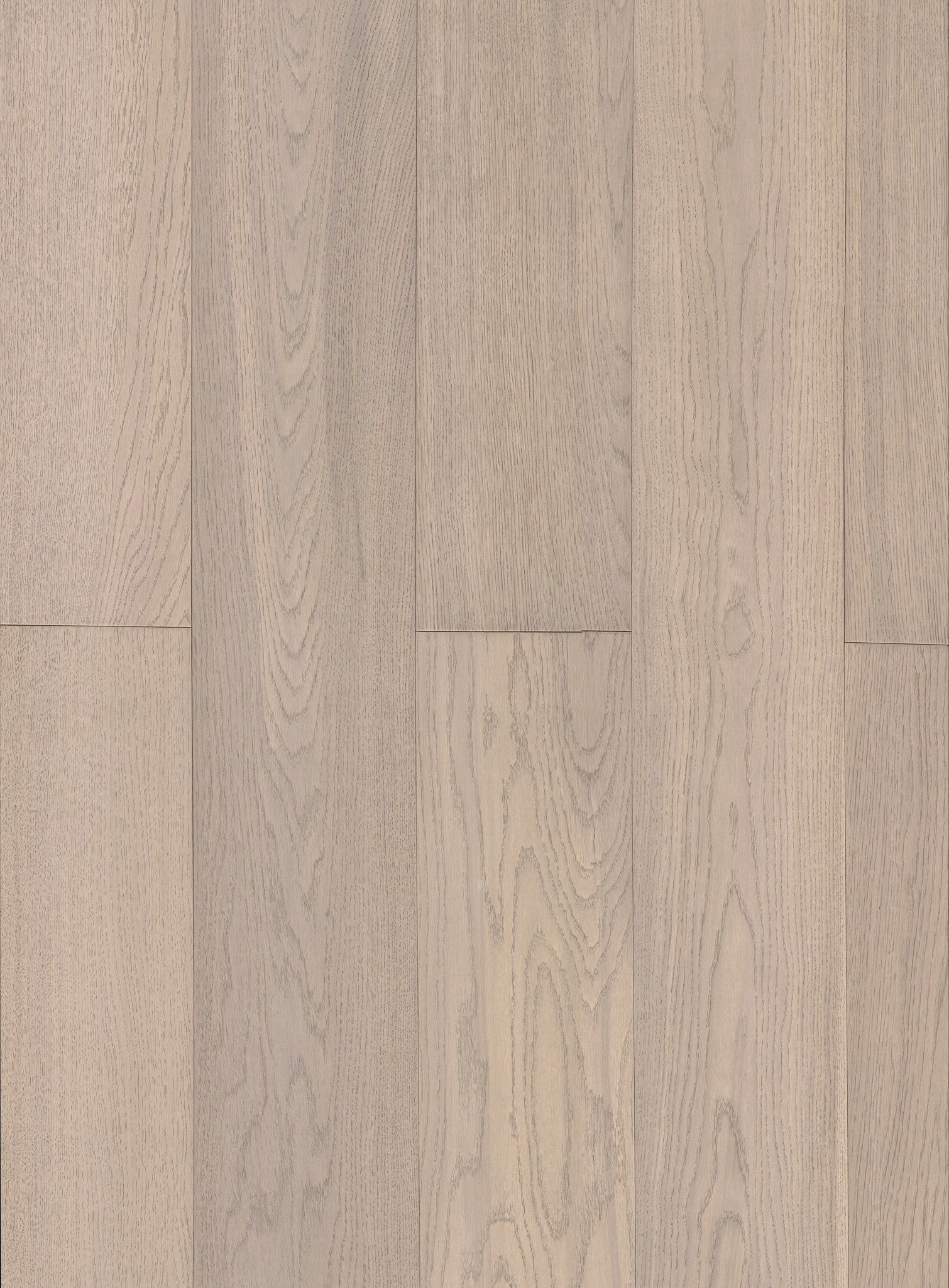 Oak Collingwood