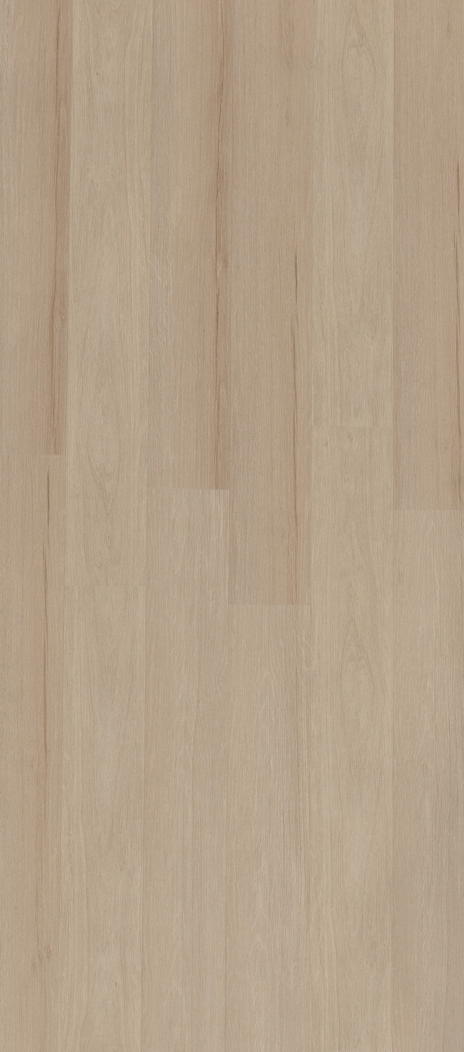 A picture showing the 6.5mm lvp flooring called Pompeii. It has a light medium beige hue and silver chain embossing, giving the floor an ultra-realistic look.