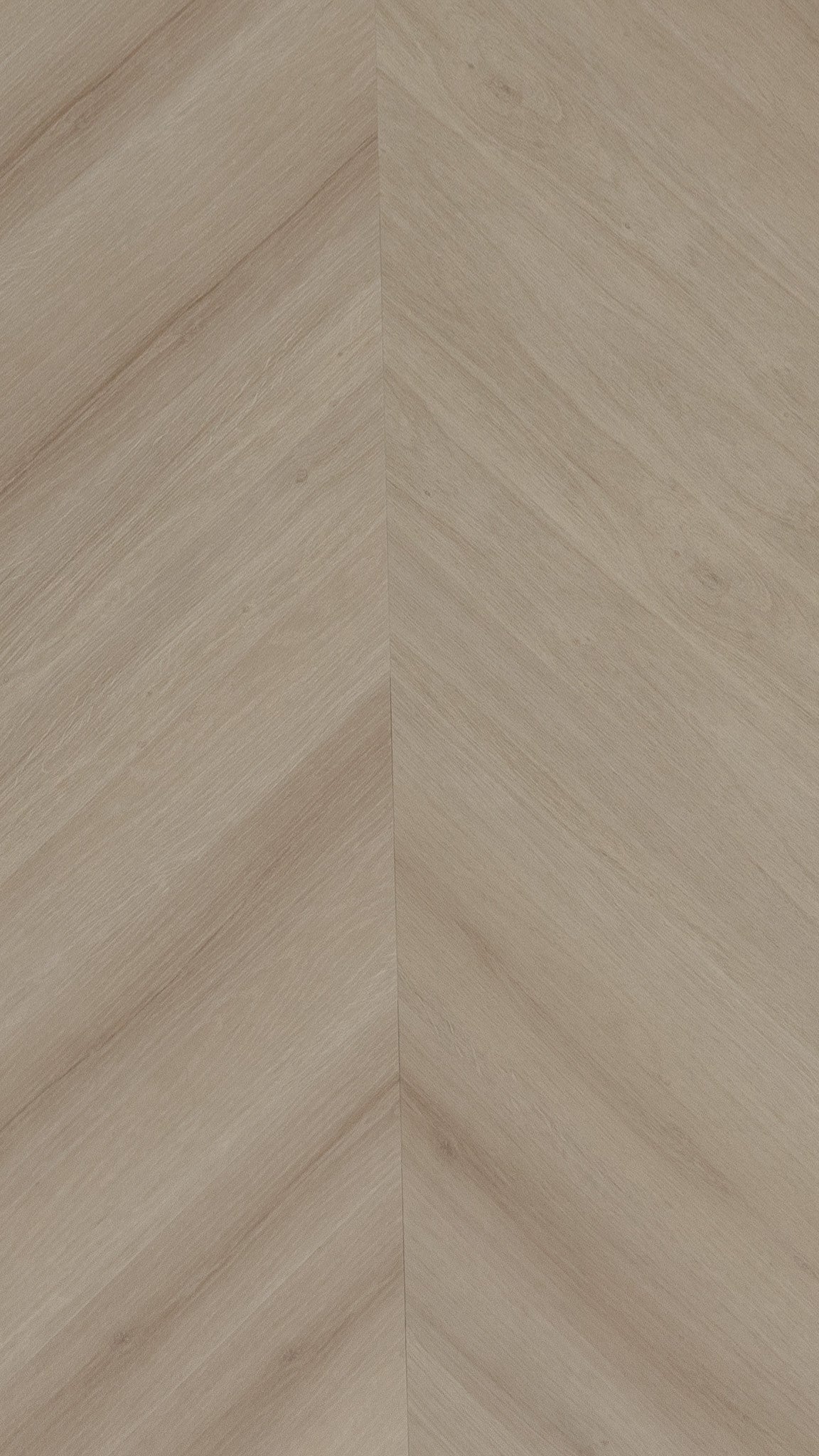 A picture showing the 6.5mm lvp flooring called Pompeii in the chevron pattern. This vinyl floor is uniquely crafted and can only be installed in the chevron pattern. It has a light medium beige hue and silver chain embossing, giving the floor an ultra-realistic look.