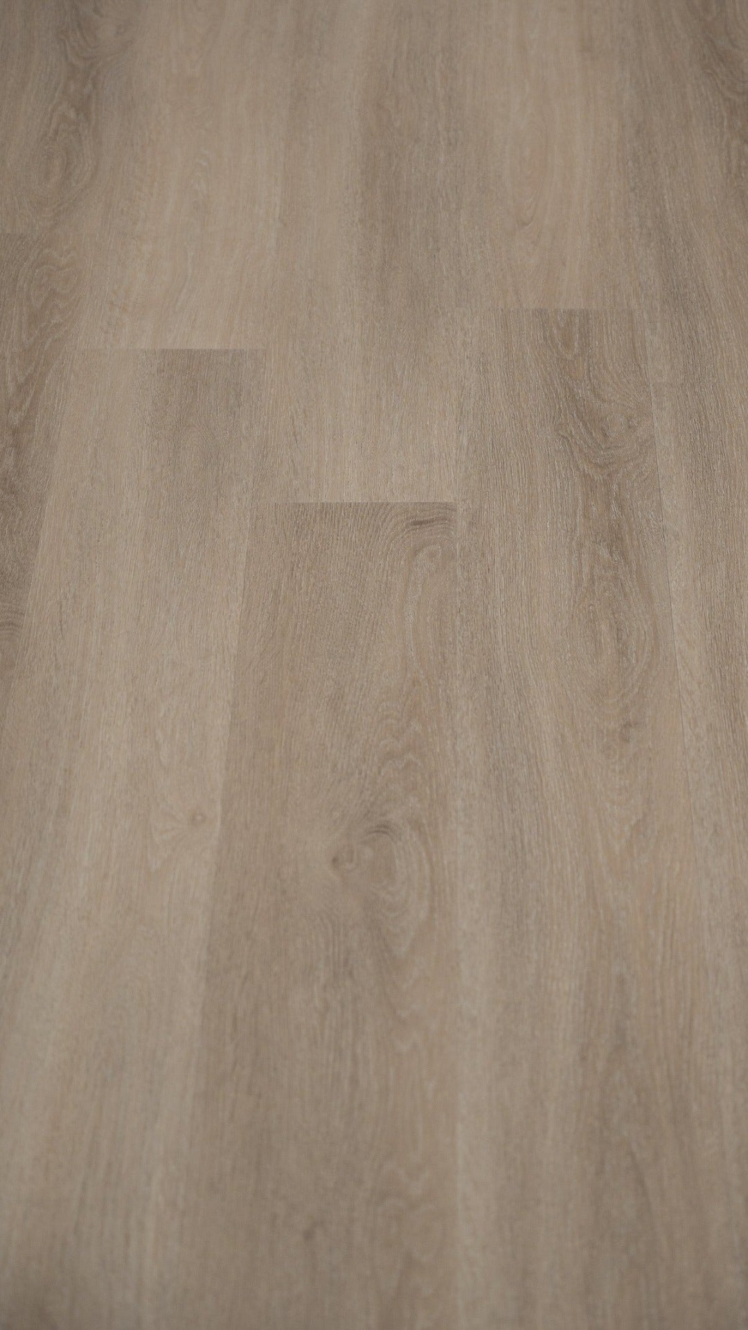 A picture showing the colour and details of the MBA 2.5 mm gluedown vinyl flooring called Saigon.