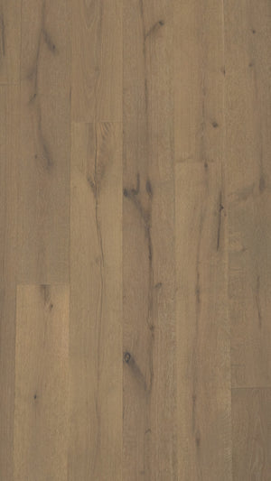 A picture of the oak  hardwood flooring called Oak Natural from the Wildwood Antique Collection, showing some knots and variation with a brown-gray tone.